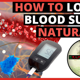 Insulin Resistance Explained | How to Lower Blood Sugar Naturally